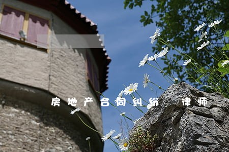 房地产合同纠纷 律师 房地产合同纠纷 律师